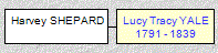 Mini tree diagram