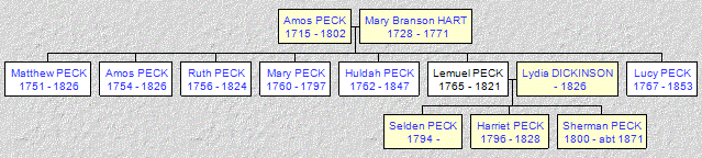 Mini tree diagram