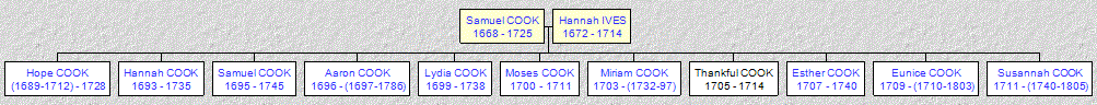 Mini tree diagram