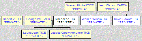 Mini tree diagram