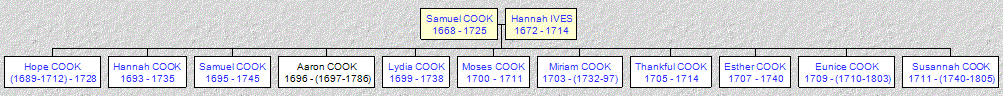 Mini tree diagram
