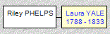 Mini tree diagram
