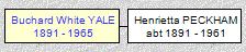 Mini tree diagram