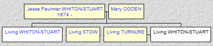 Mini tree diagram