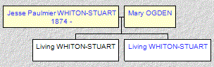 Mini tree diagram