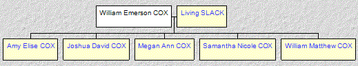 Mini tree diagram