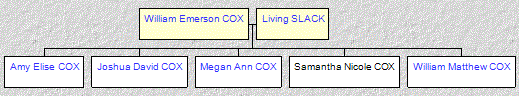 Mini tree diagram