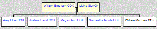 Mini tree diagram