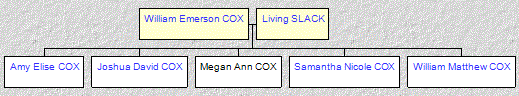 Mini tree diagram