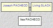 Mini tree diagram