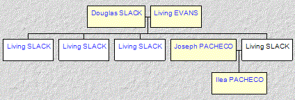 Mini tree diagram
