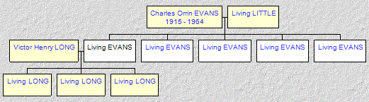 Mini tree diagram