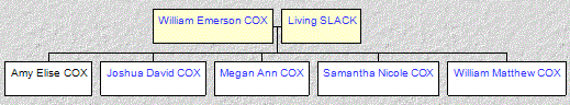 Mini tree diagram
