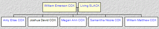 Mini tree diagram