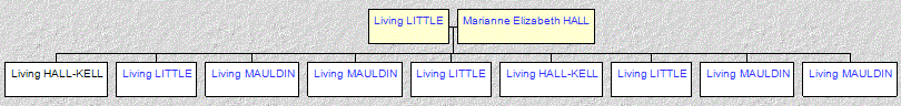Mini tree diagram