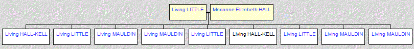 Mini tree diagram