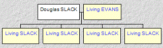 Mini tree diagram