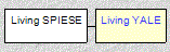 Mini tree diagram