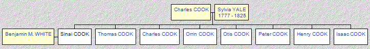 Mini tree diagram