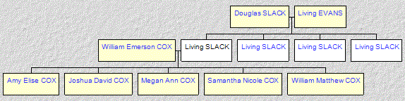 Mini tree diagram